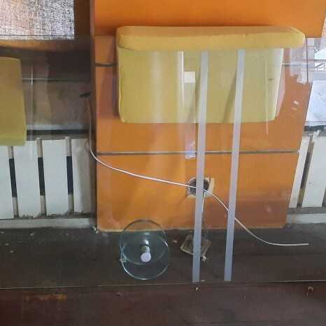 Glass store doors used, pair, height 2.20 m