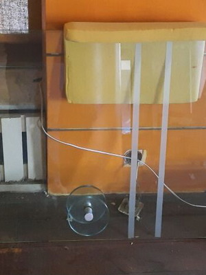 Glass store doors used, pair, height 2.20 m