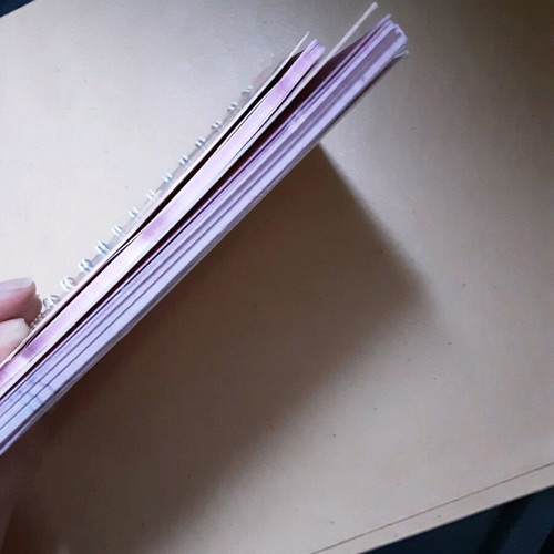 Diddl collectible notebook used