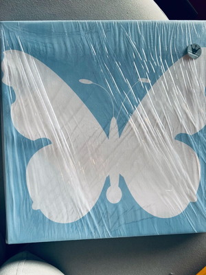Canvas frame butterfly new for kids room 35x35