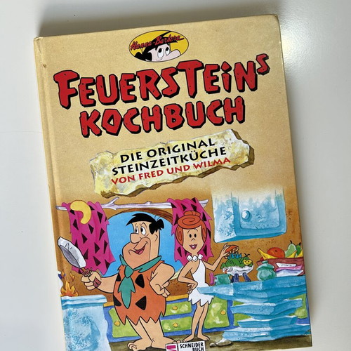 Feuersteins Kochbuch used, German children's cookbook