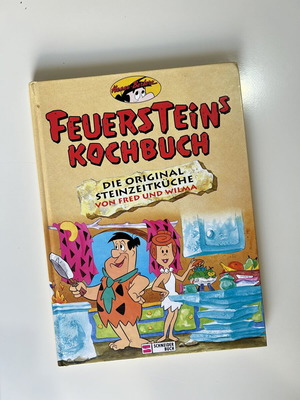 Feuersteins Kochbuch used, German children's cookbook