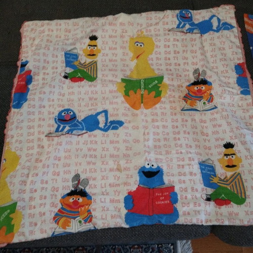 Sesame Street vintage pillowcase and blanket used