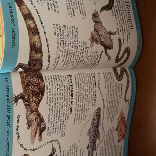 Metamfiesmena Zoa children's book
