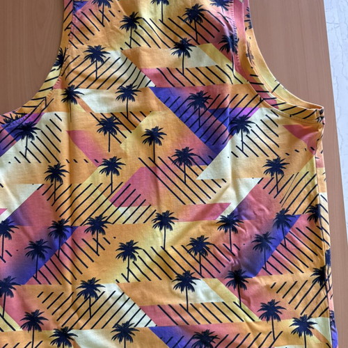 Maui & Sons sleeveless beach shirt like new, size Large, multicolor