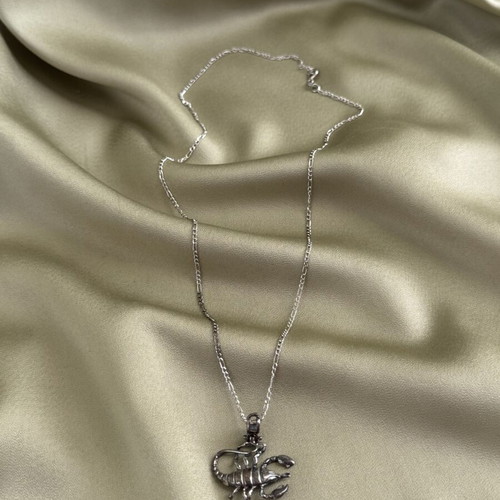 Scorpion necklace used, in good condition