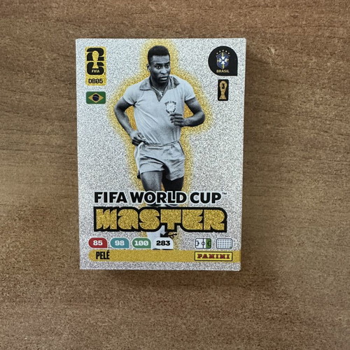Panini Cards FIFA World Cup bundle like new, 118 cards