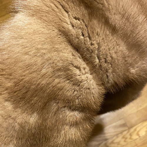 Etole genuine used with full pelts, length 1.80m