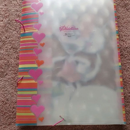 Diddl school supplies used, large collection
