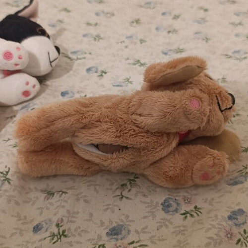 Mummy Surprise Shabam plush dog set like new