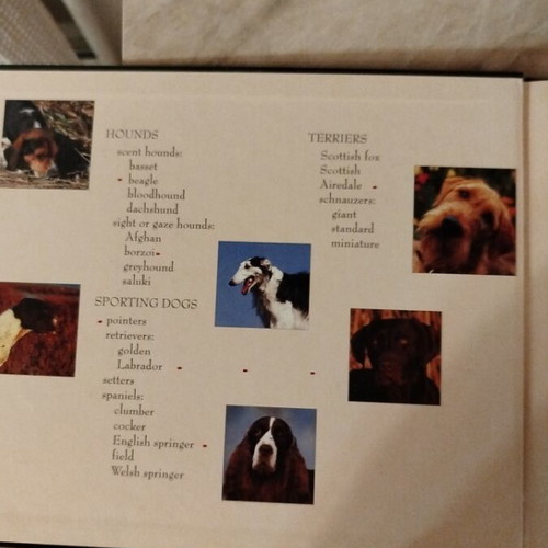 Children's book about dog breeds used, in English