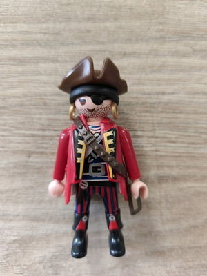 Playmobil used without the sword