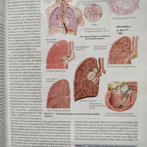 Pathology Basic Principles book new without notes