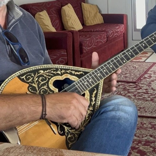 Tetrachordo Bouzouki with Two Pickups Savvas Like New