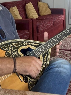 Tetrachordo Bouzouki with Two Pickups Savvas Like New