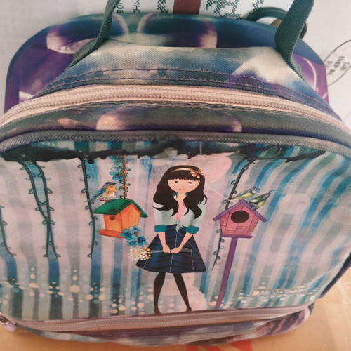 Lunch bag used, good condition