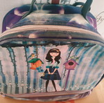 Lunch bag used, good condition