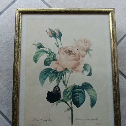 Flower frames set of 8, like new, 24x31.5 cm