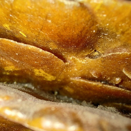 Sea amber like new