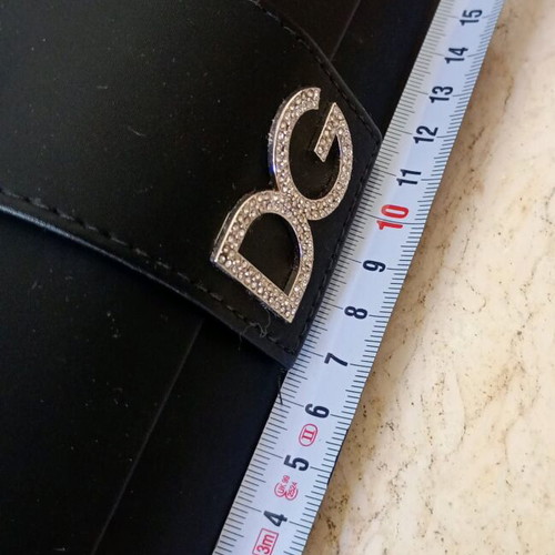 Dolce & Gabbana optical case