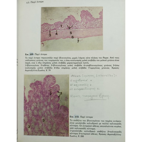 Imaging Histology Embryology Volume B used
