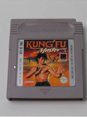 Kung Fu Master Nintendo Game Boy used