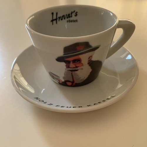 Porcelain tea or coffee cup new