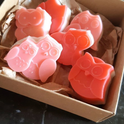 Wax melts owl shapes like new, cheesecake scent, pack of 4