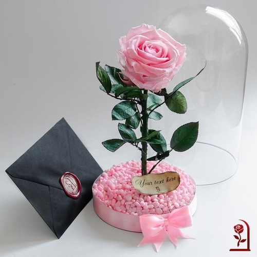 Pink natural eternal rose in large glass dome new