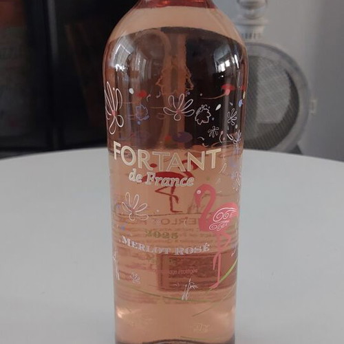 Fortant de France Merlot Rosé 2025 dry French wine 750ml