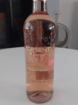 Fortant de France Merlot Rosé 2025 dry French wine 750ml