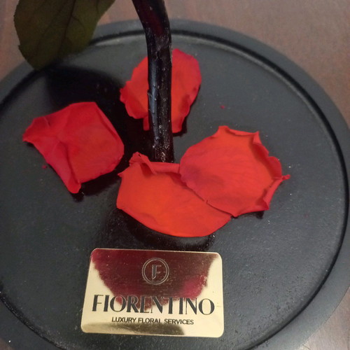 Forever Rose Fiorentino new long-lasting rose