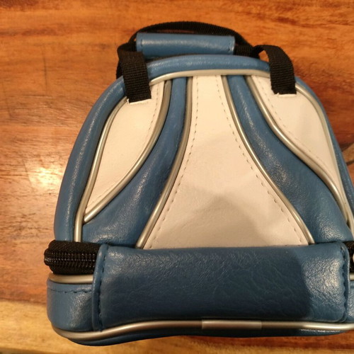 Nintendo DS Brunswick bowling bag case like new