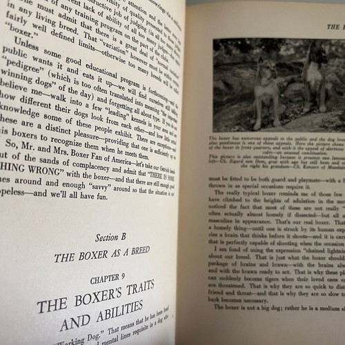 The Boxer Dan M. Gordon book used, 1956