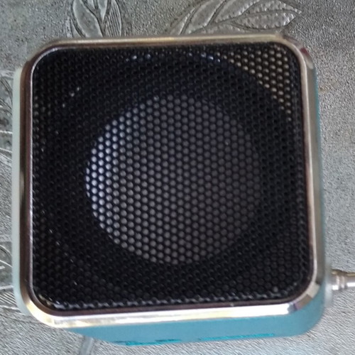 Miniature speaker and FM radio with rechargeable battery