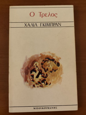 The Madman used book