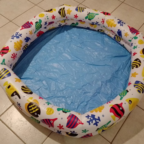 Inflatable children's pool with fish design used