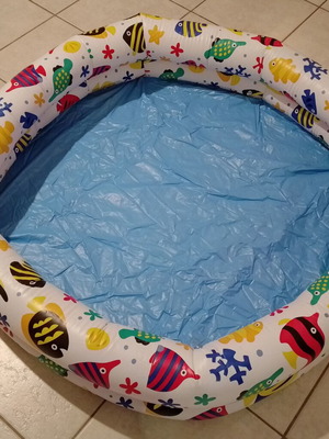 Inflatable children's pool with fish design used