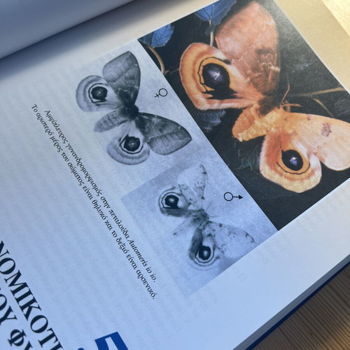 Introduction to Genetics book used, slightly marked with pencil
