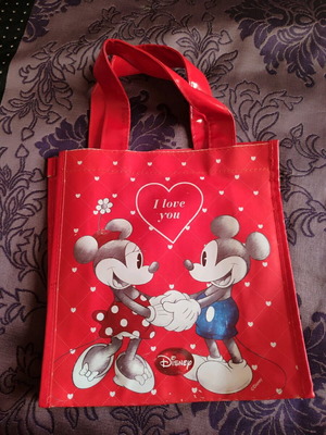 Τσαντάκι Minnie and Mickey Lindor