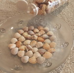 Bottle 0.5L filled with seashells for crafts