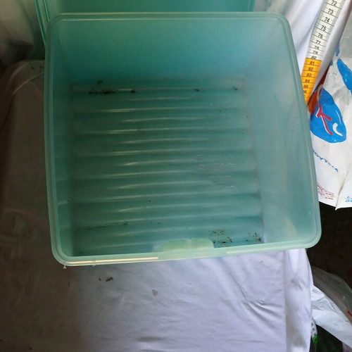Large containers new, set of 2 pieces