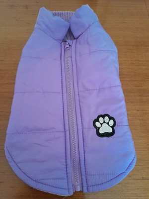 Dog jacket for small breed like new, purple color
