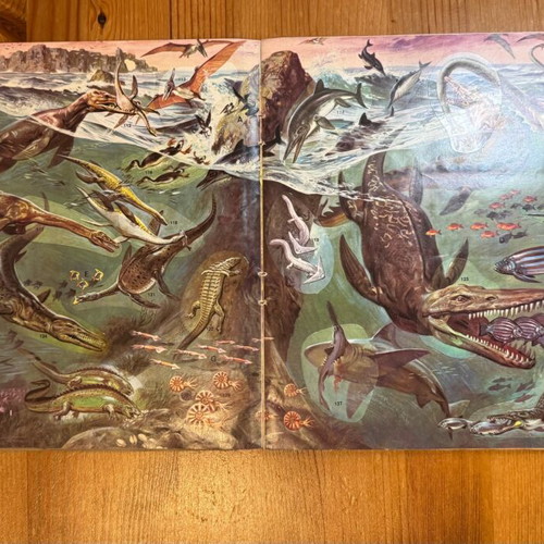 Prehistoric Animals sticker album by Panini used, 1980s edition