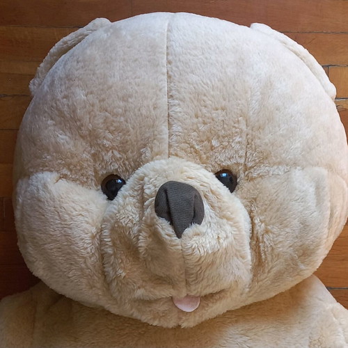 Large teddy bear new