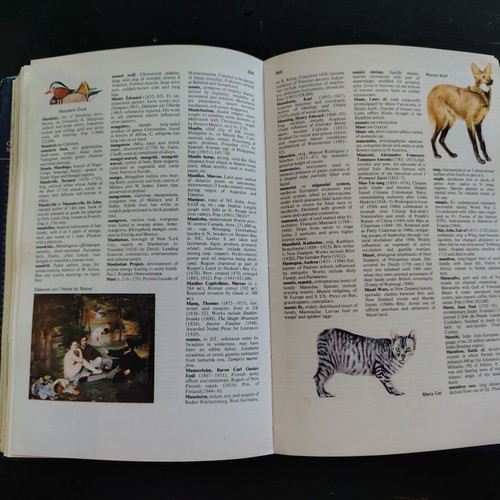 Collins Modern Encyclopedia 1976 like new, English