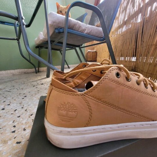 Timberland leather sneakers used, size 41.5, beige