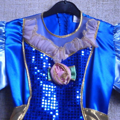 Princess Pink Carnival Costume new, for 10-year-old girl