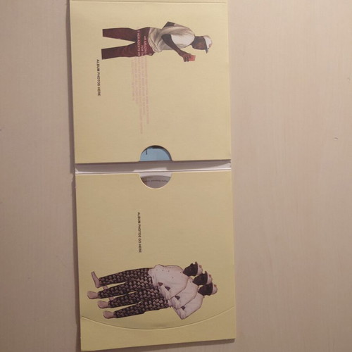 Tyler the Creator Flower Boy CD, alternative cover, hip-hop
