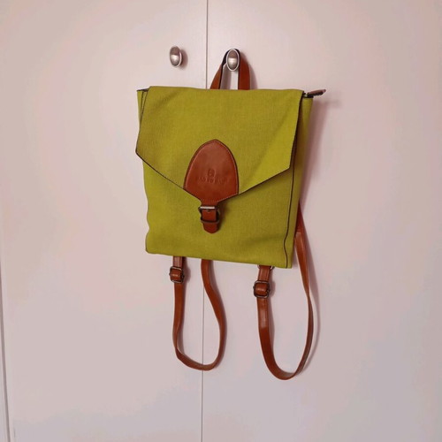 Bag to Bag Backpack Green Like New